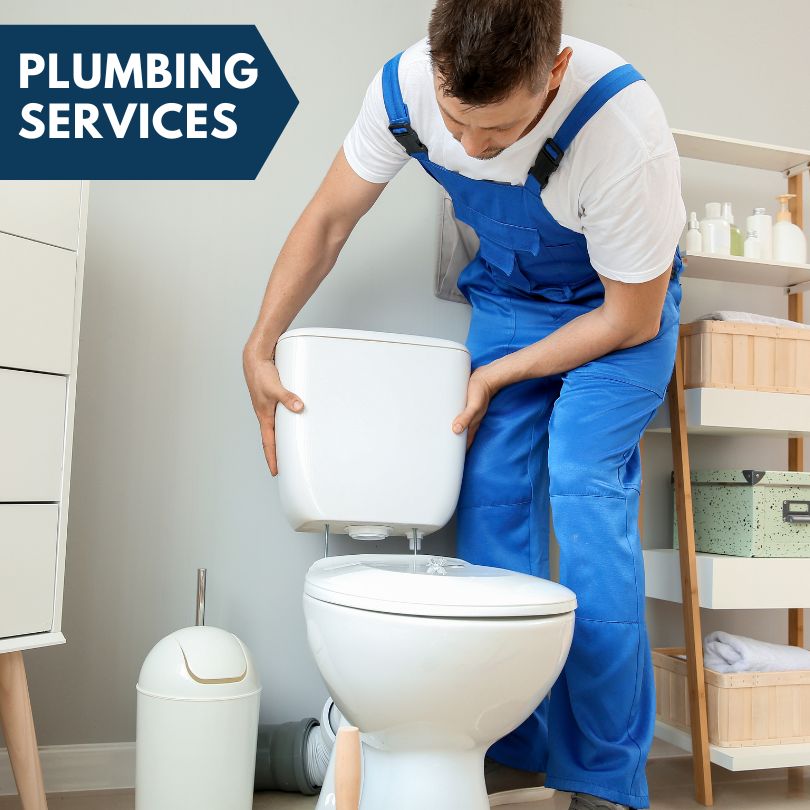 Plumbing Company in Bridgeview, IL